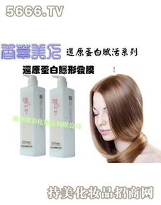 森彩美發用品全解析 產品、服務與創業機遇